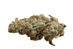 420 Evolution 30/1 CA PCH